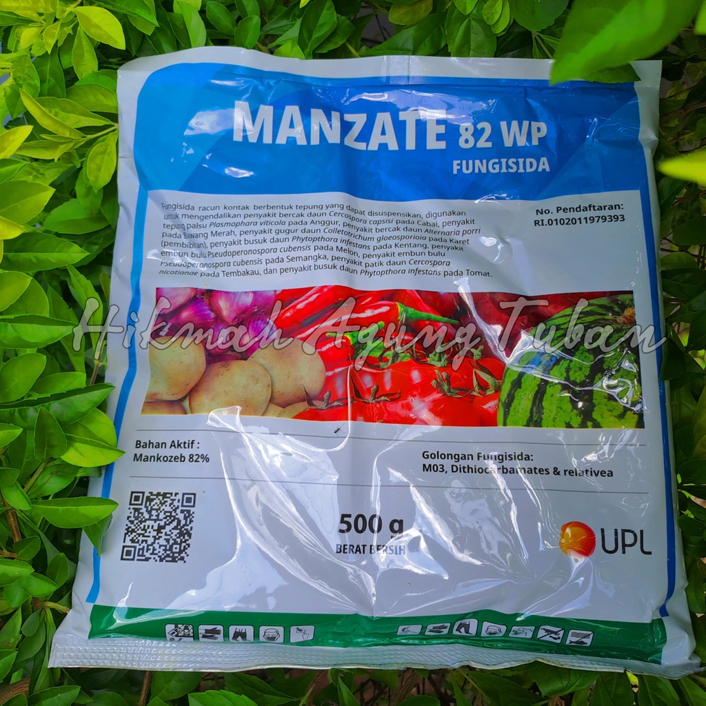 Fungisida Manzate 82 WP kemasan 500GR - Fungisida Mankozeb