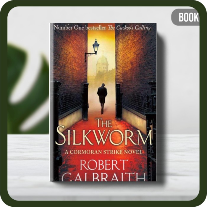 

Buku - Galbraith Robert The Silkworm-Mulholland Books