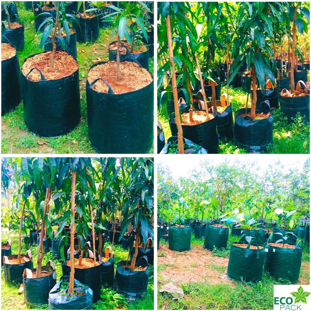 Berkualitas Planter Bag Eco Pack 100 150 200 Liter Original HDPE Hijau Tabulampot Ukuran Besar Jumbo