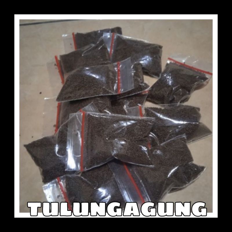 PAKAN pf 500  LELE/CUPANG/MOLLY