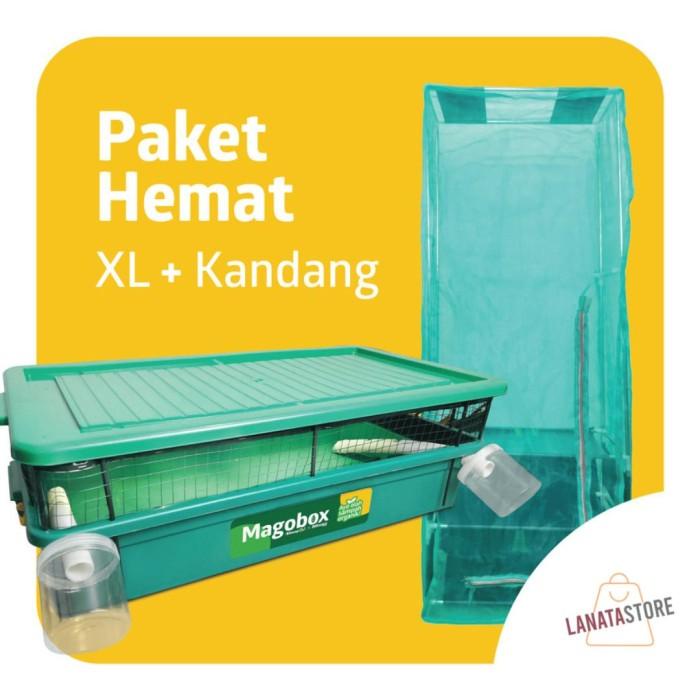 Terlaris Budidaya Box Maggot Magot Olah Sampah Di Rumah Magobox Xl+Kandang Bsf