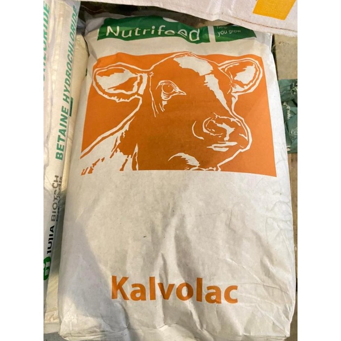 Susu Hewan Kalvolac Dairy Milk Replacer Pengganti Susu 1 Kg