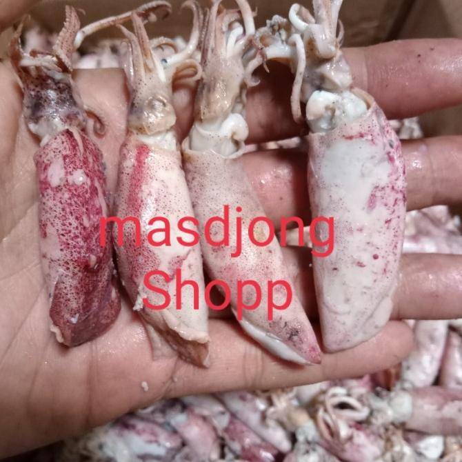 

Promo cumi asin telor size besar (4-8cm)(1000gr/1kg).