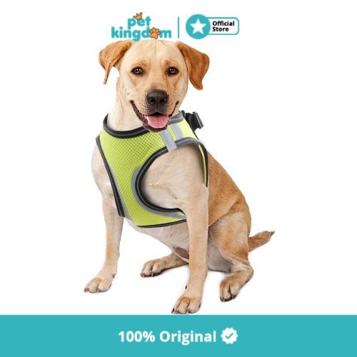 Pawise Ukuran Xs Tali Ikatan Badan Anjing