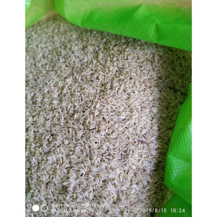 Must Have (Packing Besek) Cuci Gudang Telur Bibit Jangkrik Alam 1Kg Terbaru