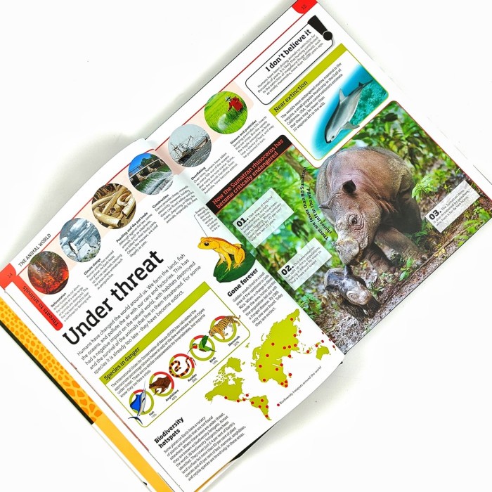 Promo Buku Ensiklopedia Anak Dk Asli - Animal Knowledge Genius Termurah