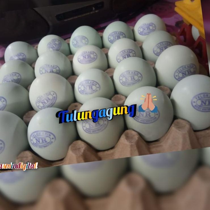 

Free Shipping stempel telur asin