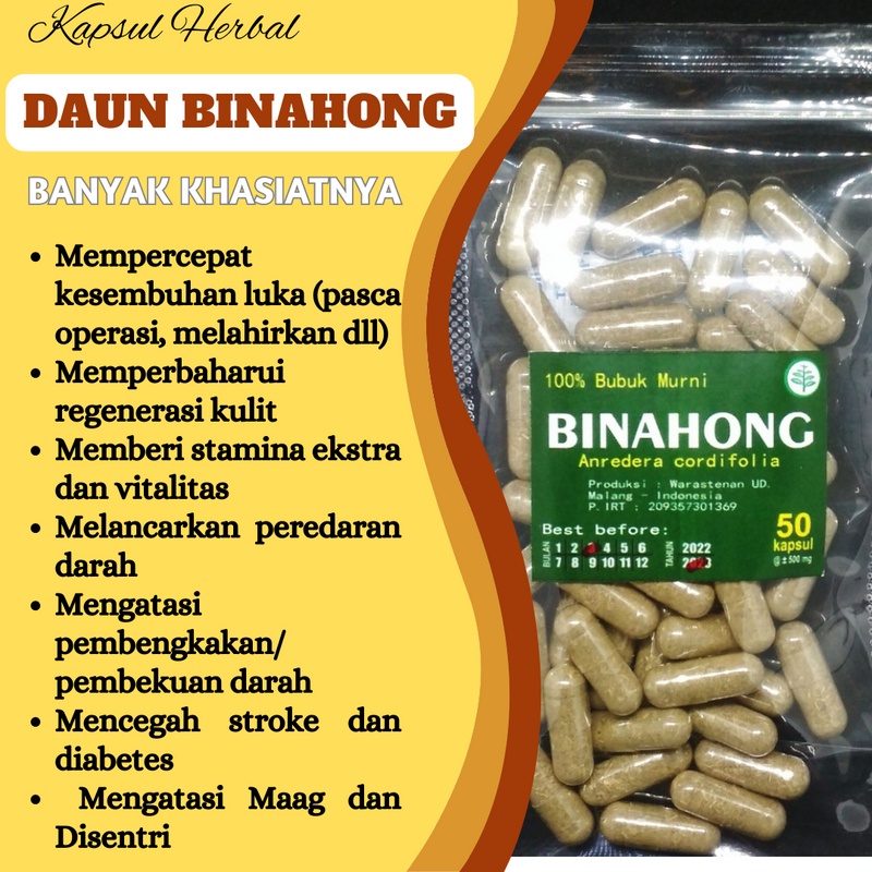 

Kapsul Obat Herbal Daun Binahong Mempercepat Luka Kering Pasca Operasi Melahirkan Obat Luka Dalam Dan Luar V2T2