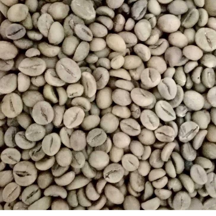

Terbaru | KF7 | Kopi Greenbean Robusta dan Arabika Biji Kopi harga per Kilo