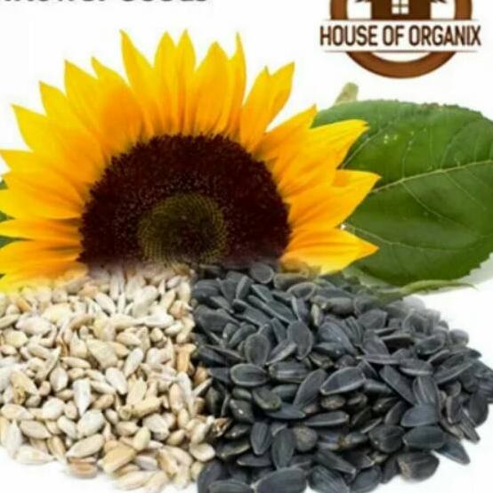 

Promo⭐Sunflower Seeds (Biji Bunga Matahari) atau kuaci 1000 Gr