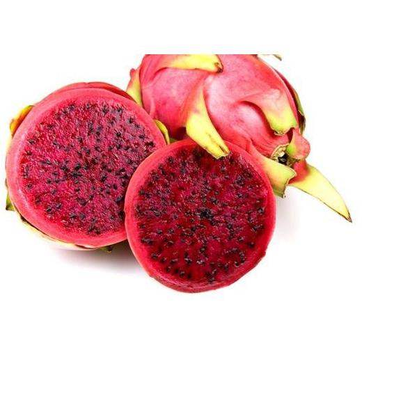 

Termurah | KP8 | FCW - Buah Naga Merah 1 KG