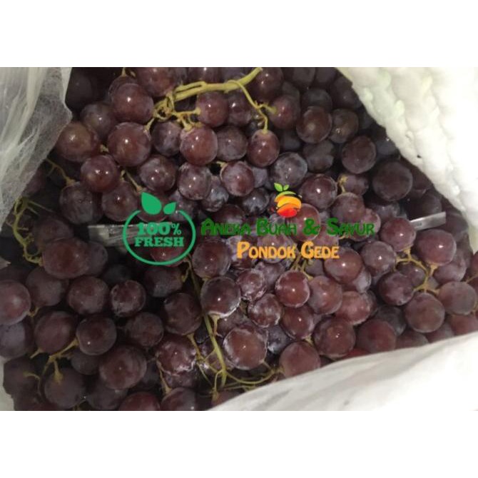 Buah Anggur Merah Segar 1 Keranjang | Krat ---READY---