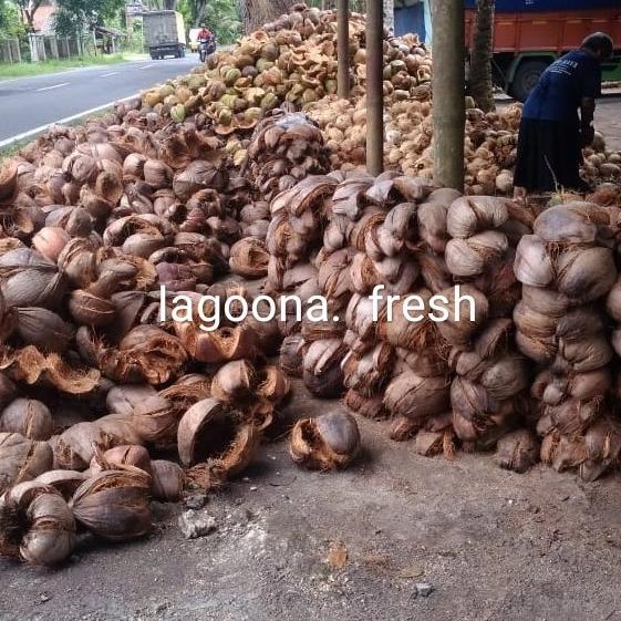 sabut kelapa kering utuh 30 kg