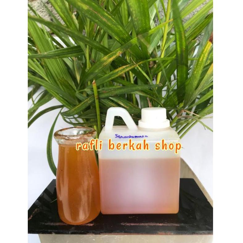 

Free Ongkir/ Madu asli dari sumbawa premium 500 gr MADU