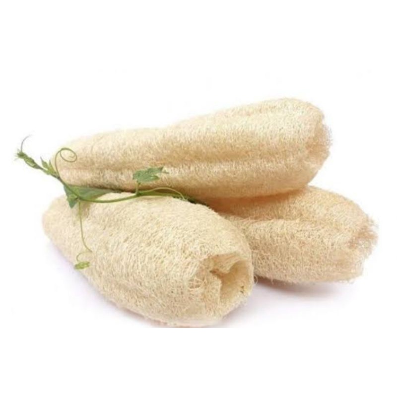 Loofah Oyong Gambas Kering  Grade A