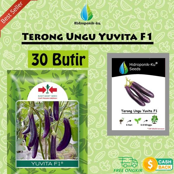 Bibit / Benih Terong Ungu (30 Butir) Cap Panah Merah Hidroponik Ku