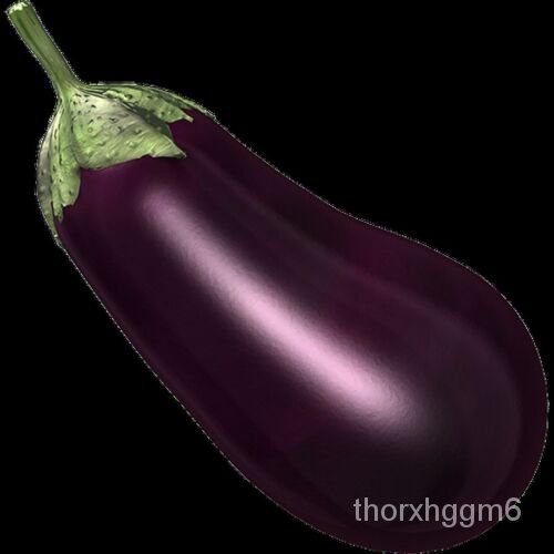 

ุ ธเ FLORIDA็น Benih SayuranลSolanumAubergine300พม UnguEGGPLANTPasarMelongena ั์ด GLP5