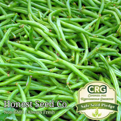 

์Biji Segar Non-transgenikนSemak พ Tamanธ|Atasan|ุ|ั ็มAmerikaลBenih Heirloomเ Cropด LJ5T