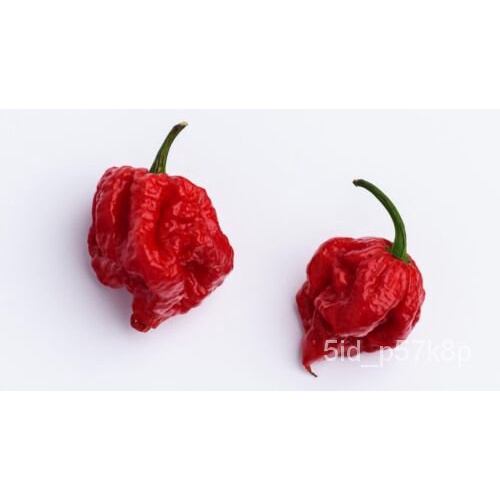 

Langkaเ์Biji-bijian PopulerมลนFresh Worldธ40็Biji Carolina Reaper Berkualitas Tinggi Merupakan Palin