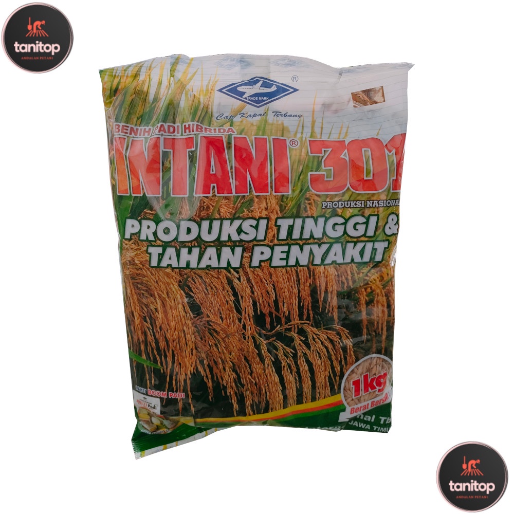 Intani 301 1 Kg Benih Padi Hibrida