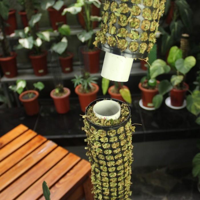 Best Seller Turus Lumut 2 Meter / Moss Pole 200 Cm / Penyangga Tanaman Merambat - Model Jaring