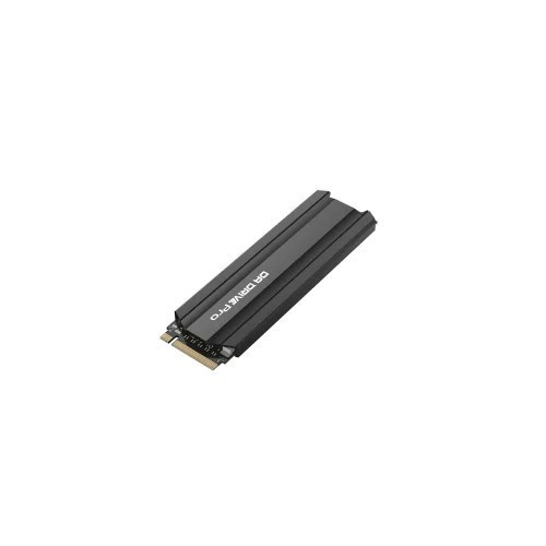 SSD Digital Alliance DA Drive Pro 256GB M.2 2280 NVMe with Heatsink