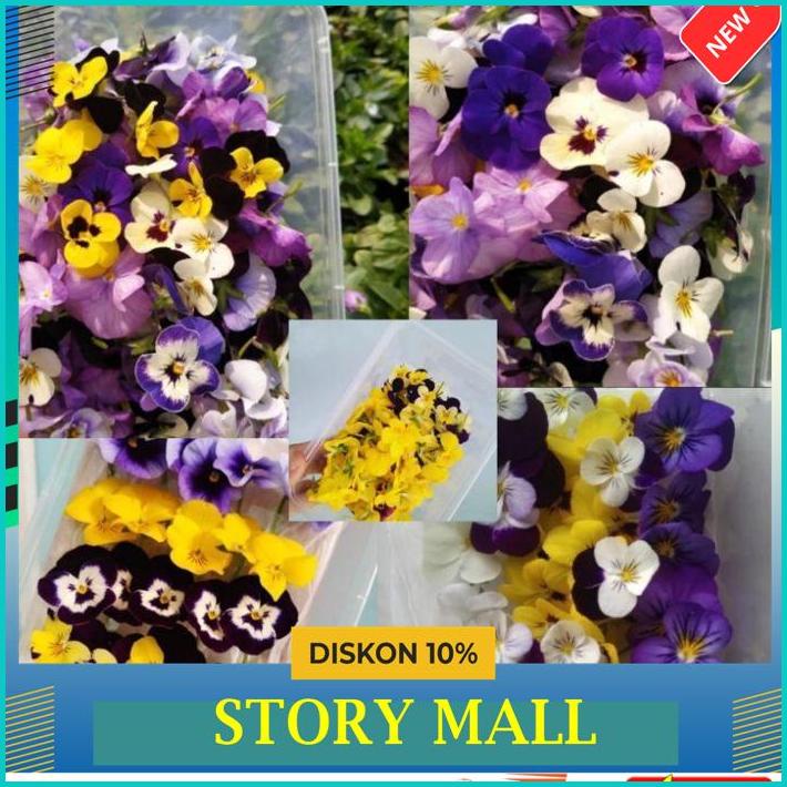 

VIOLA EDIBLE FLOWER ISI 20 PCS / BUNGA VIOLA CANTIK / BUNGA SEGAR BEST DEAL