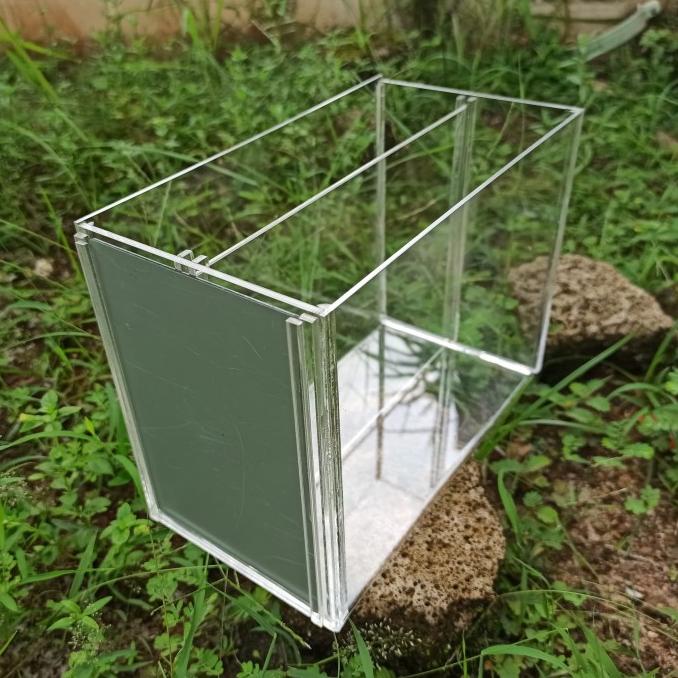 Aquarium Acrylic 20X10X15 Soliter Cupang Kombi Akrilik Putih 2Cermin