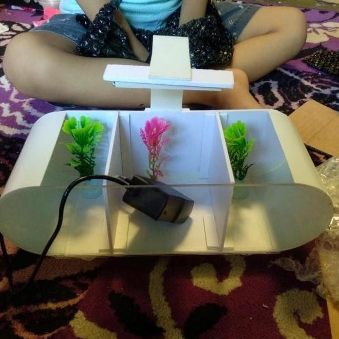 Aquarium Mini Akrilik Sekat 3 Scarball