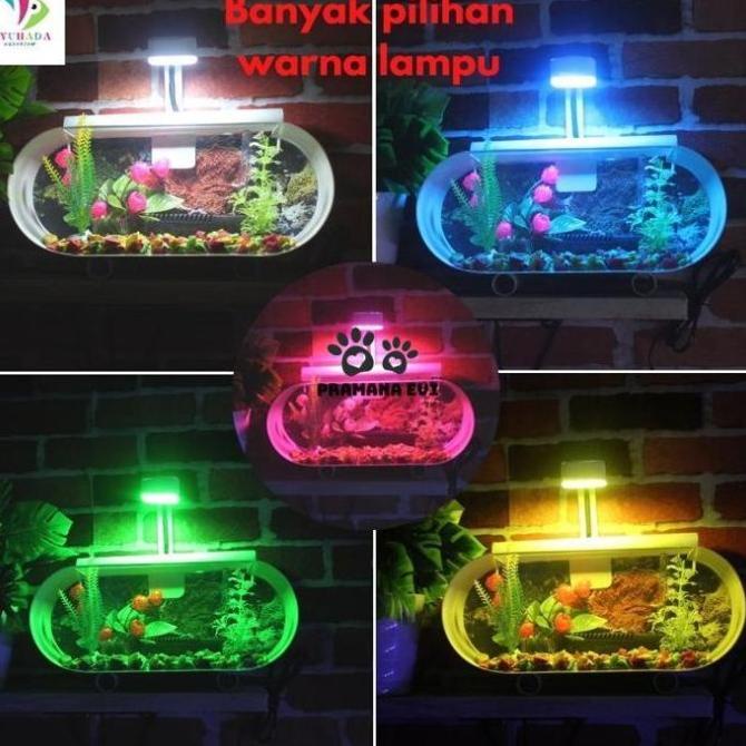 1 Set Aquarium Mini Cupang Akrilik Serbaguna Pipa Pvc Pompa Aerator