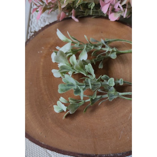 ECER DAUN HIAS BUKET DAUN