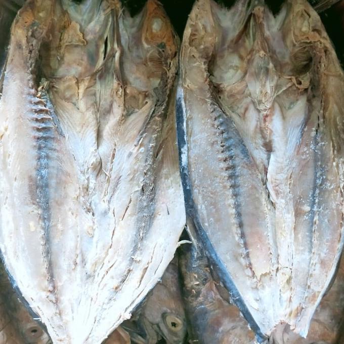 

Ikan Asin Tongkol Utuh Kering 1.000gr