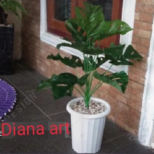 tanaman plastik#monstera latex#tanaman artificial jumbo