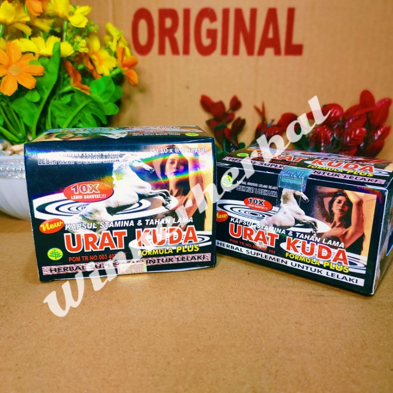 

urat kuda blister