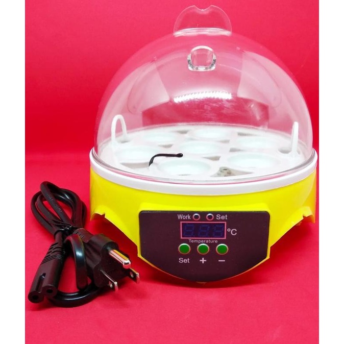 Penetas Telur Mini - Egg Incubator