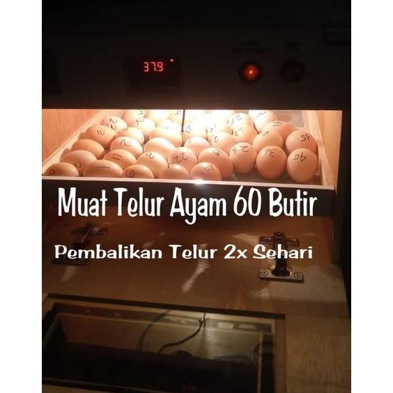 "Dmz" Mesin Tetas Telur Kapasitas 60 Butir Penetas Telur Ayam Bebek