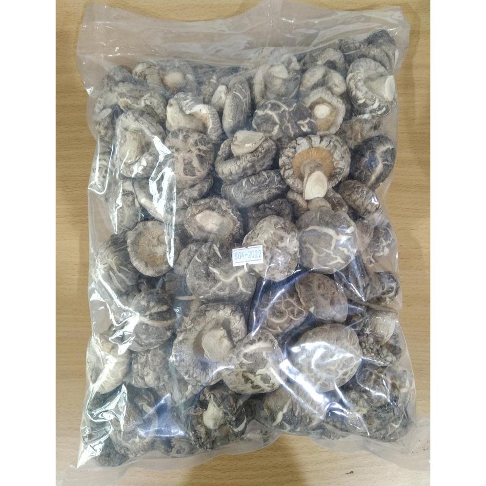 

Jamur Shitake 1KG Best Seller