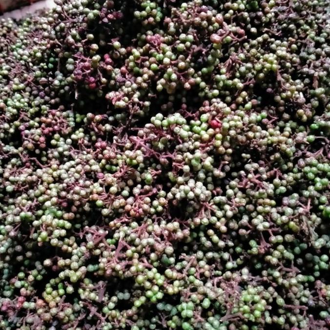 

Andaliman Segar Rempah Batak