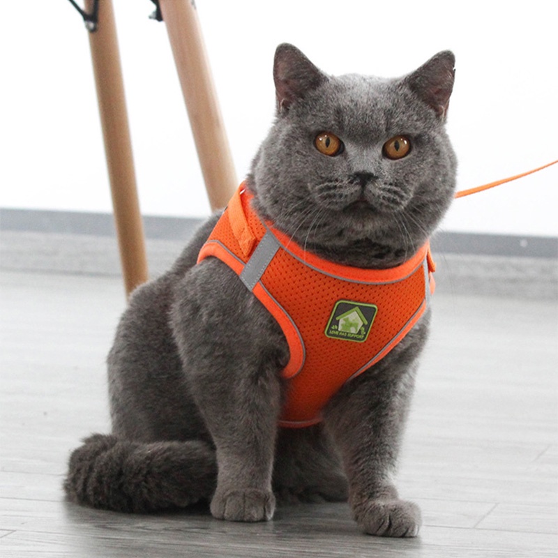 Holiven Rompi Tali Anjing Kucing Harness Hewan Peliharaan Reflektif Breathable Gaya Baru