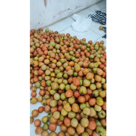 

cabe merah keriting dan tomat
