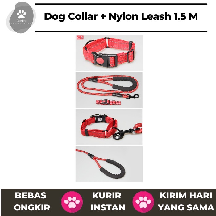HOT SALE TALI DAN KALUNG ANJING DOG COLLAR AND LEASH TALI ANJING NYLON TERBARU