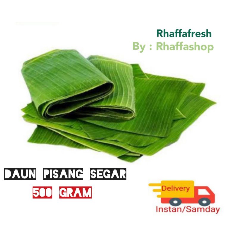 

Daun pisang segar | anda pesan kami petik | dijamin segar | daun pisang segar per 500 gram