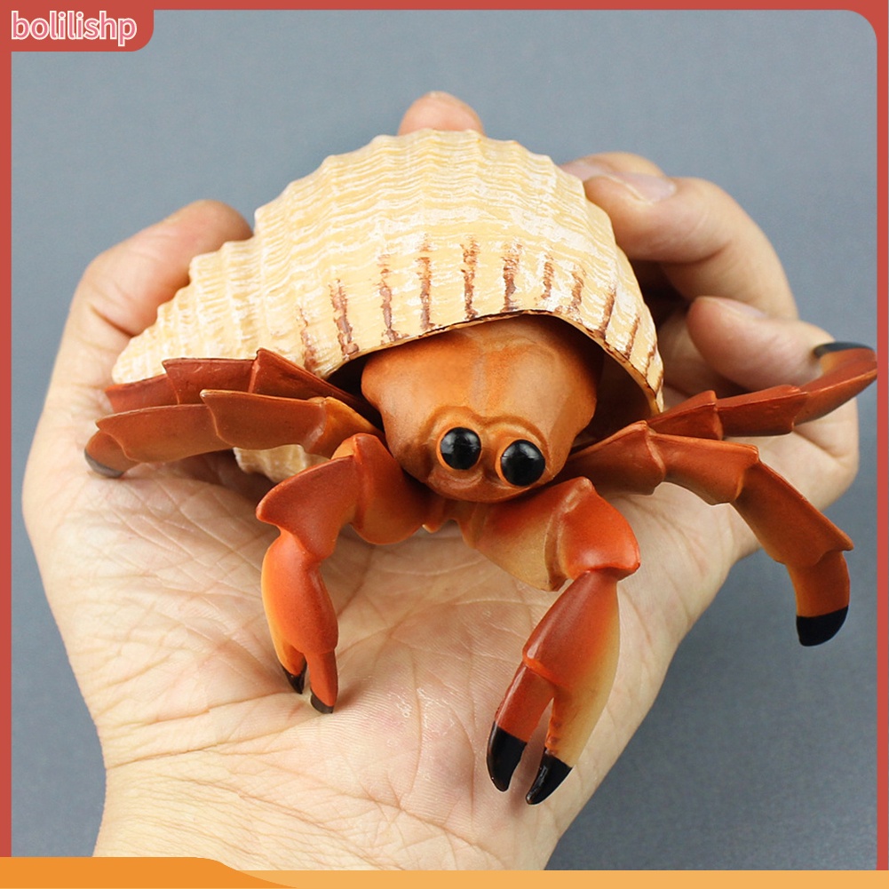 &lt;Bolilishp&gt; Simulation Hermit Crab Marine Animal PVC Model Desktop Decor Education Kids Toy