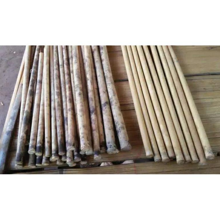 Populer Bambu Tamiang Untuk Suling Sunda