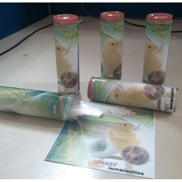 Termurah Pipa Kapiler Alat Kawin Suntik - Alat Inseminasi Burung Kenari - Ecer