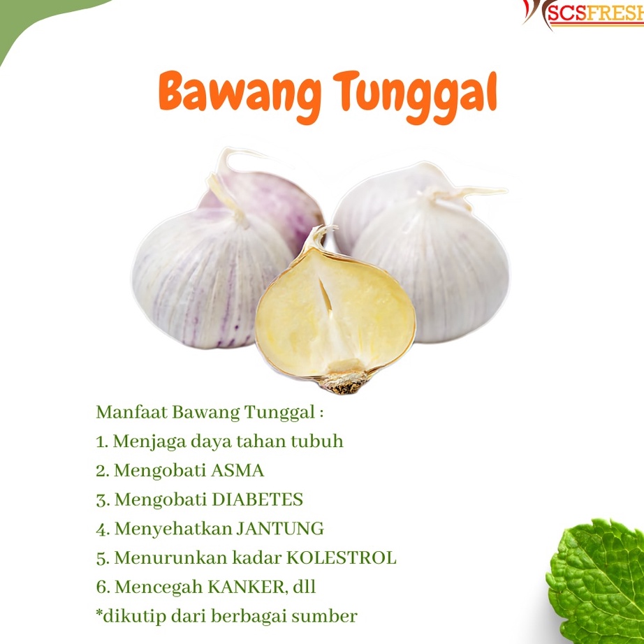 

wl❇Terlaris Bawang Putih Tunggal Ukuran Kecil, Sedang, Besar dan Jumbo P52