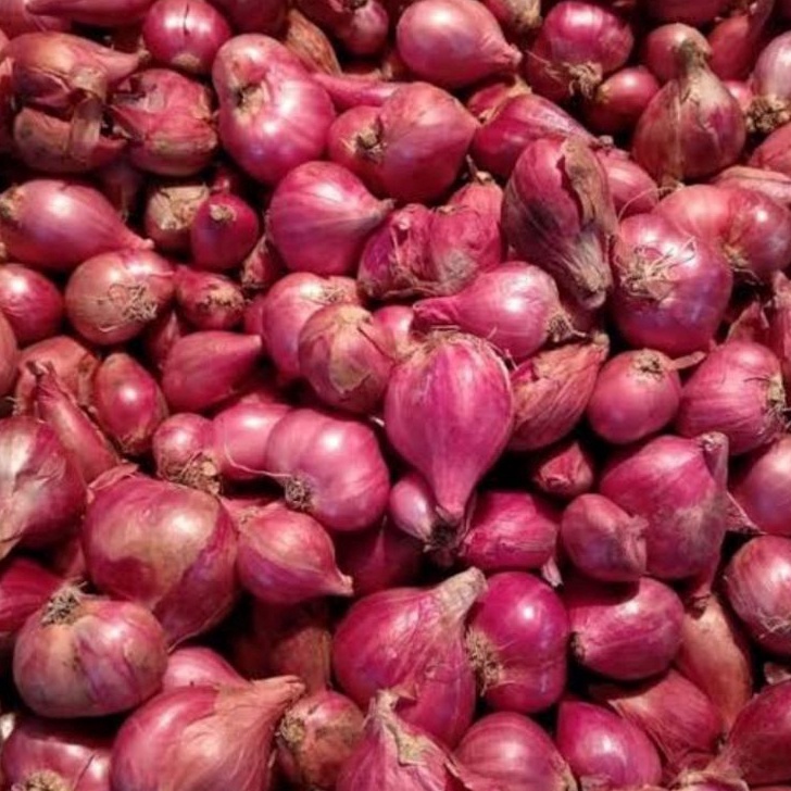 

➘fh Best Terlaris✰ Bawang Merah Asli Brebes P92 ➽