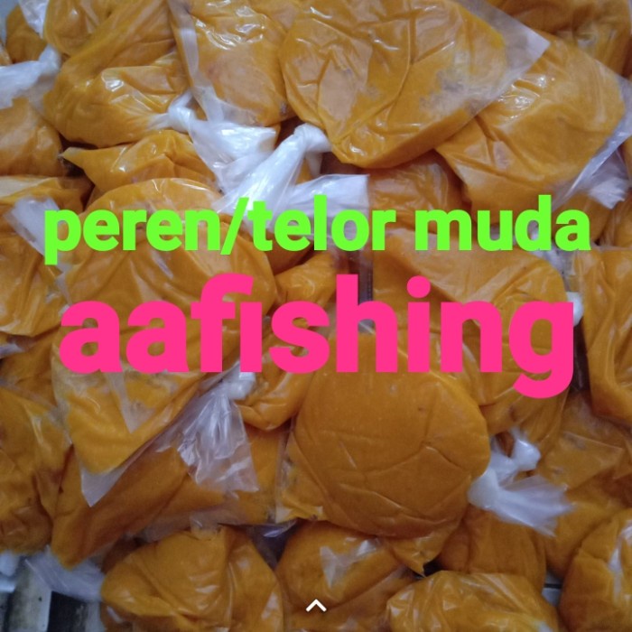 Umpan galatama lele PEREN(telor ayam muda)