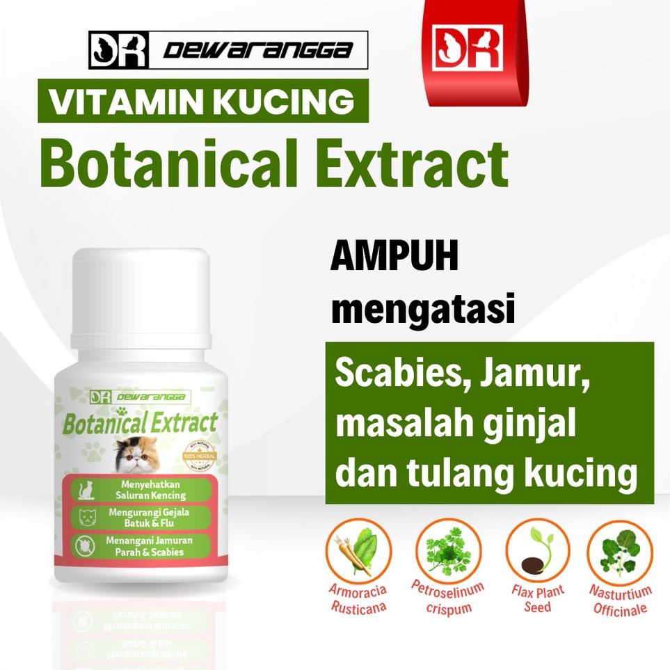 5.5 COD Vitamin Kucing Botanical Extract Dewarangga - Obat Scabies Kucing - Obat Jamur Kucing - Obat
