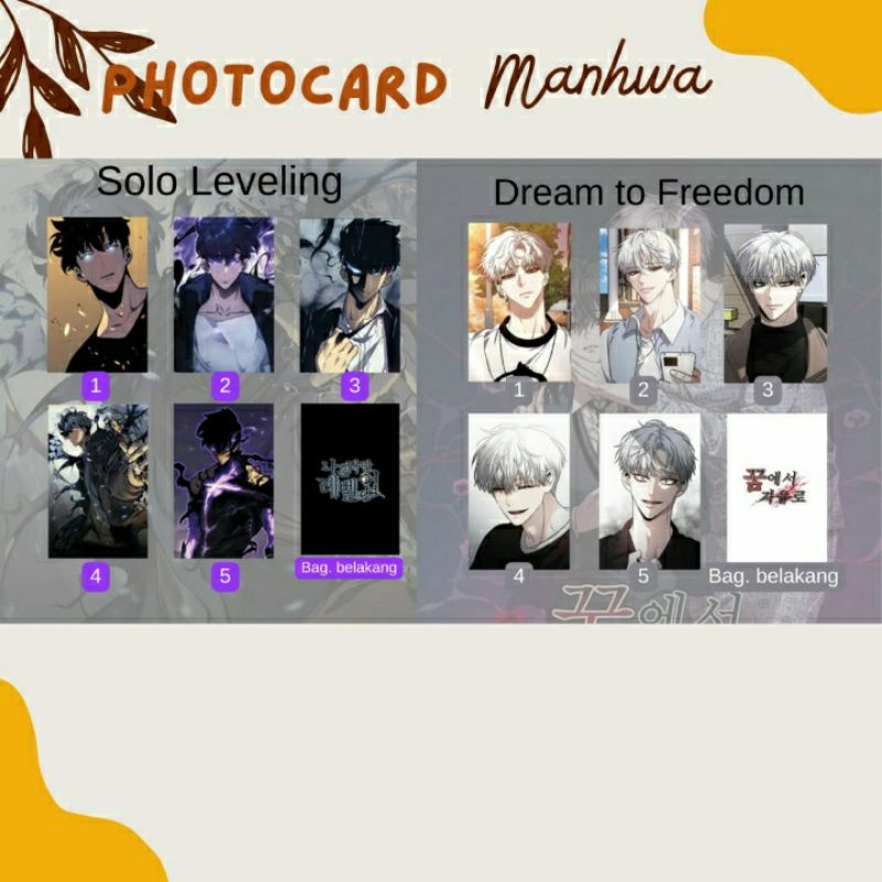 Photocard Manhwa PC Solo Leveling Dream to Freedom Sung Jin Woo Baek Siyoon Unofficial 310 gsm 2 sis